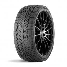 Doublestar Winterking DW08 215/65R16 102H